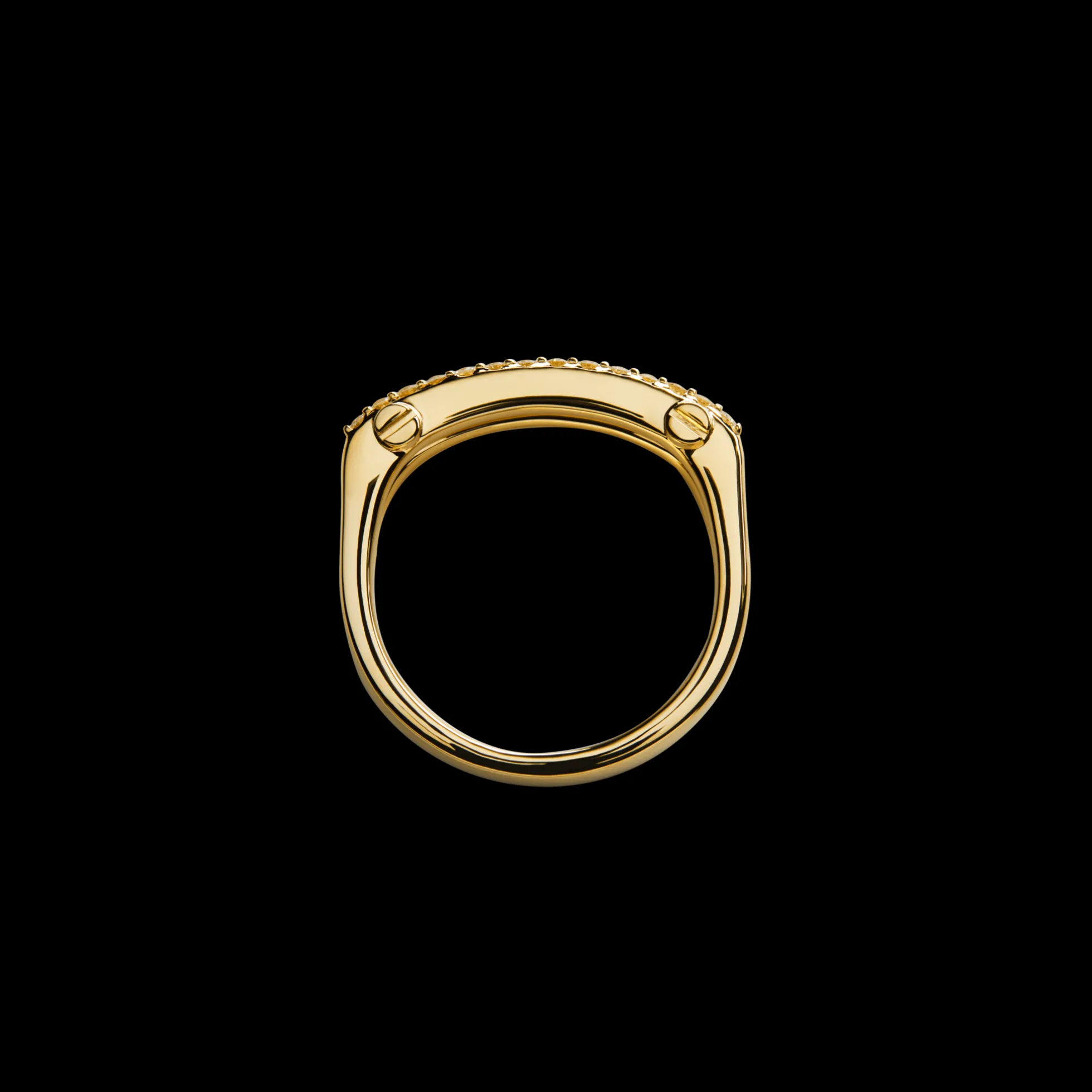 Diamond Pave Rivet Double Row Ring