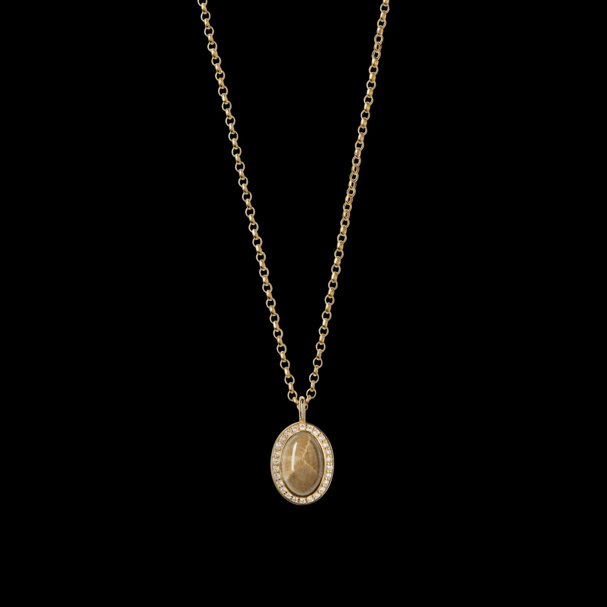 Diamond Petoskey Petite Necklace