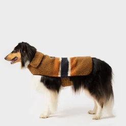 Dog Coat
