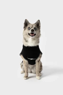 Dog Sweater