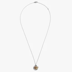 Heirloom Petoskey Pendant Necklace