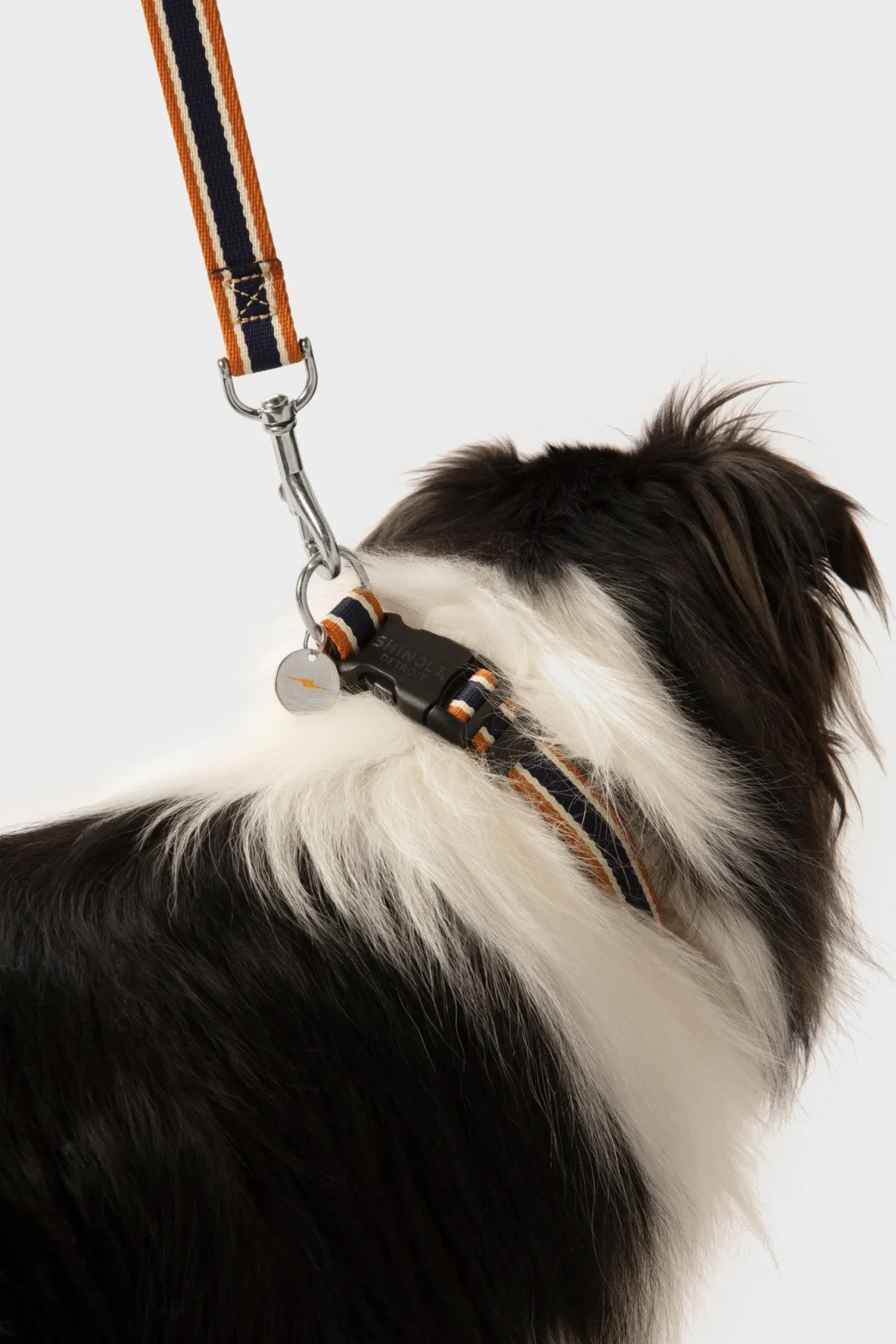 Nylon Dog Collar