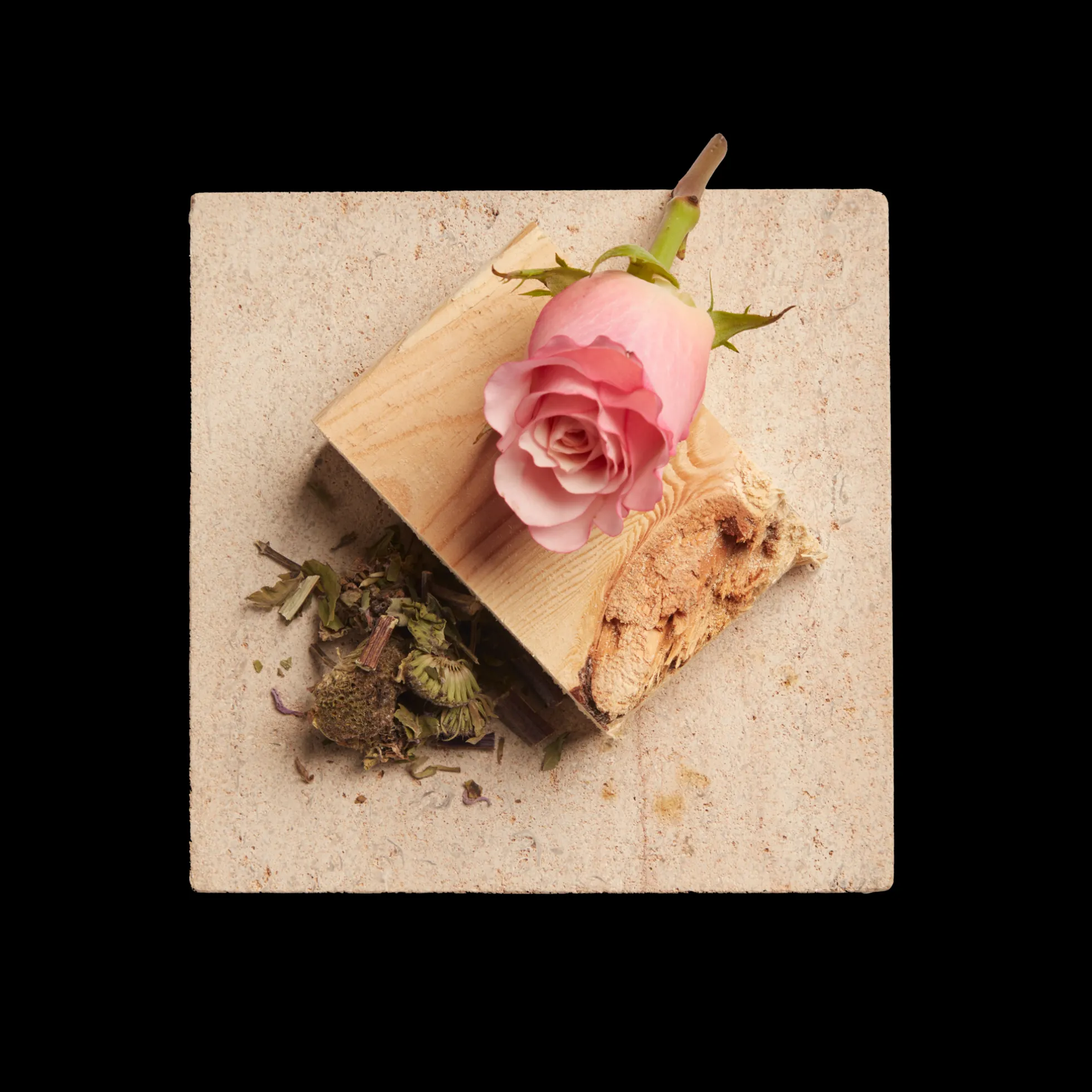 Rose 8 oz Scented Candle